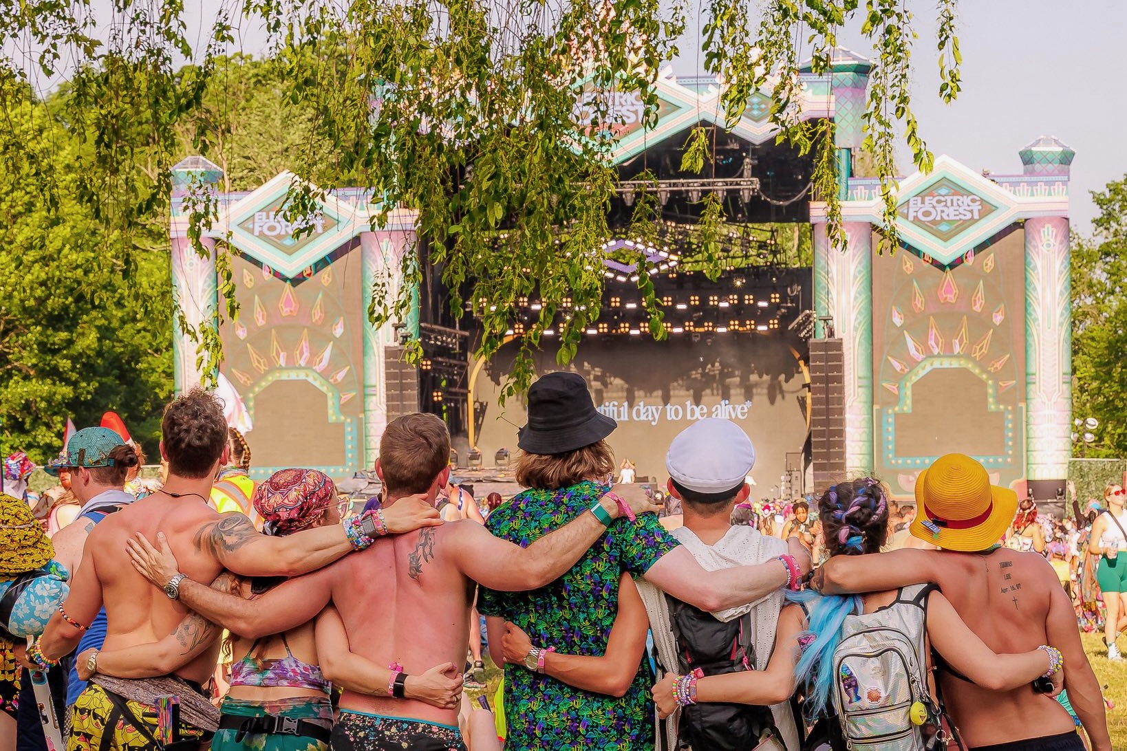 Electric Forest