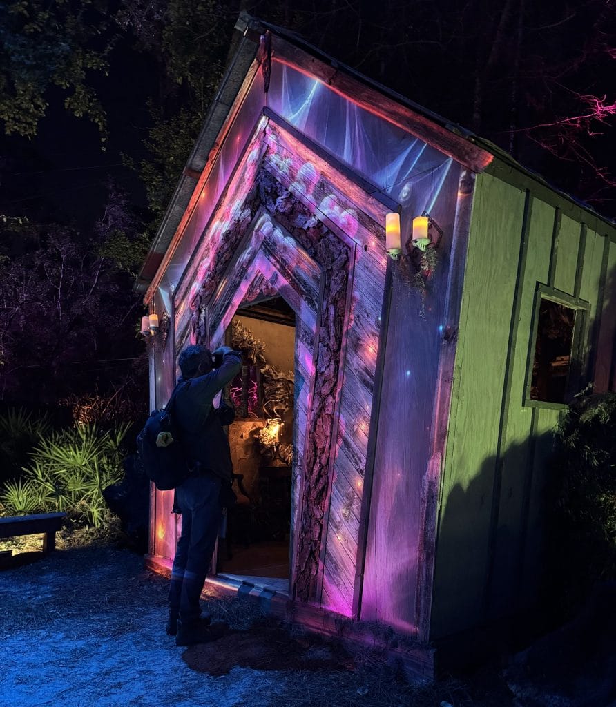 Hulaween 2025, festival review