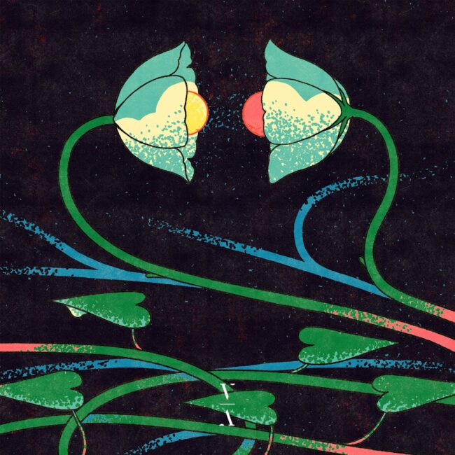 Lane 8 Announces New Artist Album, Cross Pollination II