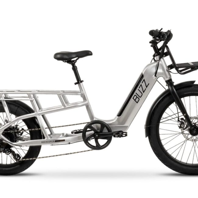 Buzz Beekeeper Cargo Ebike Review: A Mobile Party on Two Wheels