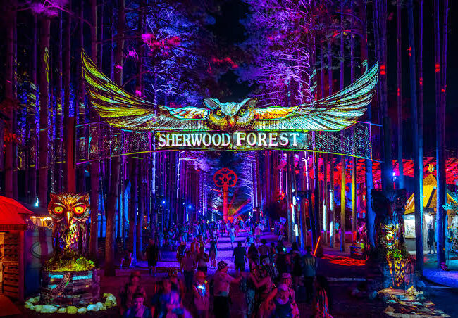 Newborn Found Dead in Electric Forest Confirmed As Girl
